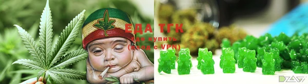 индика Заводоуковск