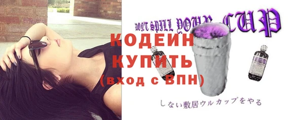 эйфоретик Ельня