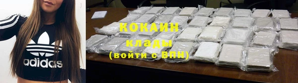 индика Заводоуковск