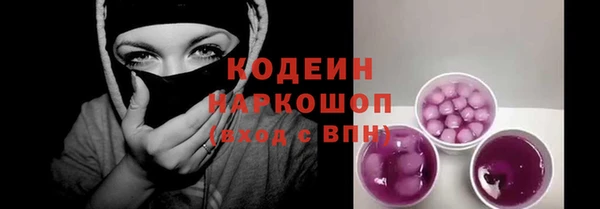 индика Заводоуковск