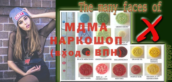индика Заводоуковск