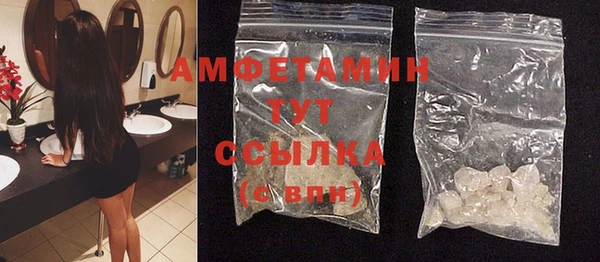 индика Заводоуковск