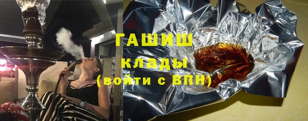индика Заводоуковск