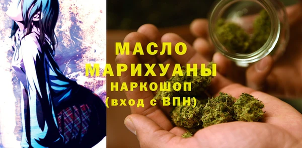 индика Заводоуковск