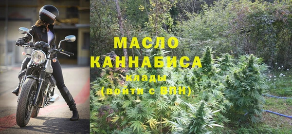индика Заводоуковск