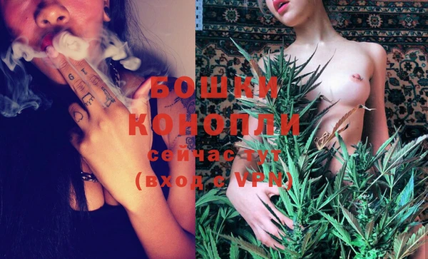 индика Заводоуковск