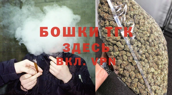 индика Заводоуковск