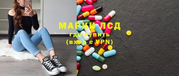 эйфоретик Ельня