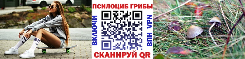 Псилоцибиновые грибы мицелий  закладка  Галич 